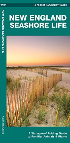 New England Seashore Life : A Waterproof Folding Guide to Familiar Animals & Plants
New England Seashore Life : A Waterproof Folding Guide to Familiar Animals & Plants