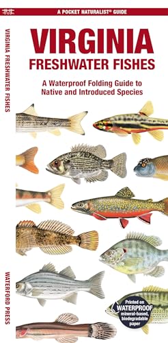 Virginia Freshwater Fishes: A Folding Guide to Native and Introduced Species (Pocket Naturalist Guide)
Virginia Freshwater Fishes: A Folding Guide to Native and Introduced Species (Pocket Naturalist Guide)