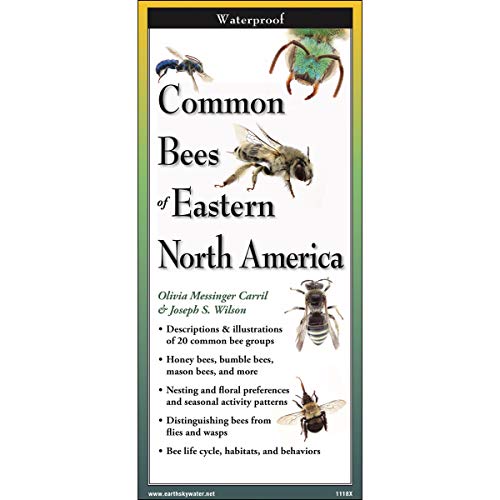 Common Bees of Eastern North America (Foldingguides(tm))