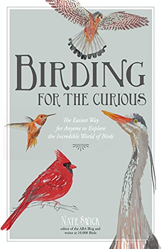 Birding for the curious the easiest way for anyone to explore the incredible world of birds