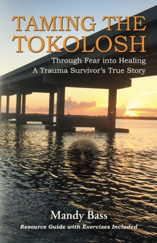 Taming the Tokolosh : My Healing Journey after a Violent Attack