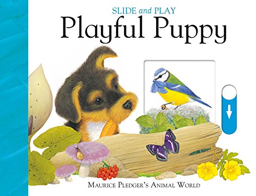 Slide Play: Playful Puppy