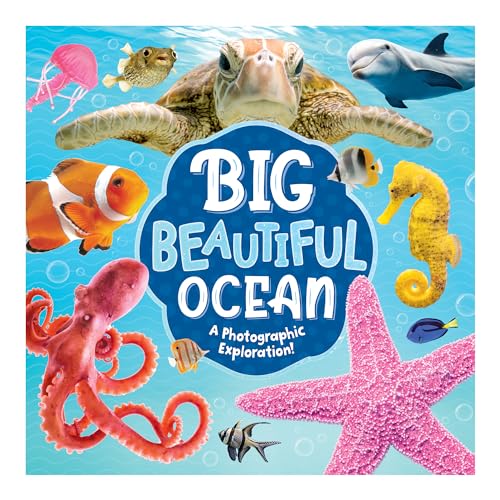 Big Beautiful Ocean: A Photographic Exploration!