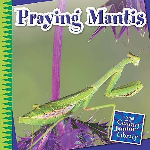 Praying Mantis (21st Century Junior Library: Creepy Crawly Critters)