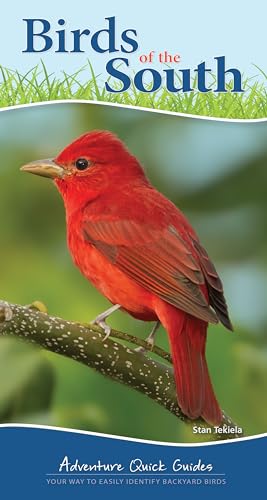 Birds of the Southeast: Your Way to Easily Identify Backyard Bird