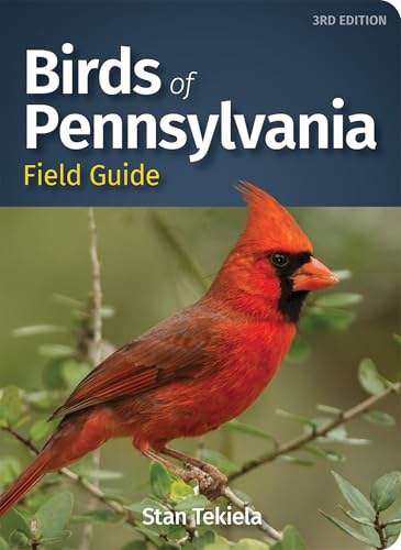 Birds of Pennsylvania Field Guide (Bird Identification Guides)