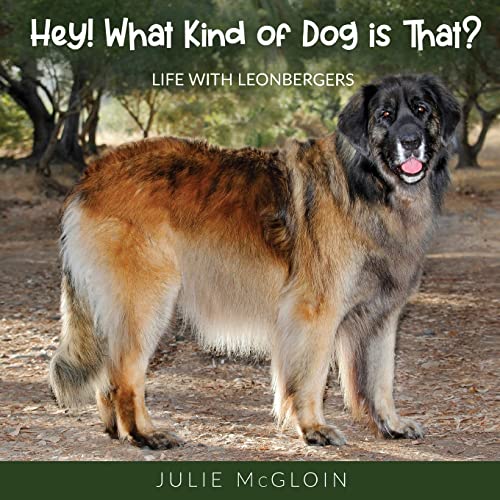 Hey! What Kind of Dog is That: Life With Leonbergers