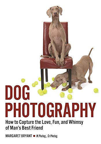 Dog Photography: How to Capture the Love, Fun, and Whimsy of Man's Best Friend
Dog Photography: How to Capture the Love, Fun, and Whimsy of Man's Best Friend