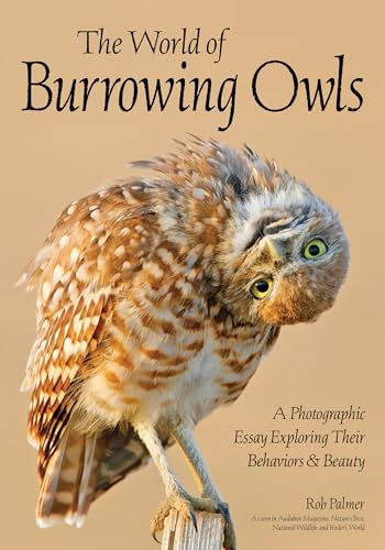 World of Burrowing Owls : A Photographic Essay Exploring Their Behaviors & Beauty
World of Burrowing Owls : A Photographic Essay Exploring Their Behaviors & Beauty