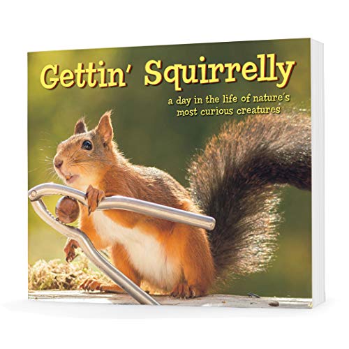 Collections Etc Getting' Squirrelly A Day In The Life Hardcover Book