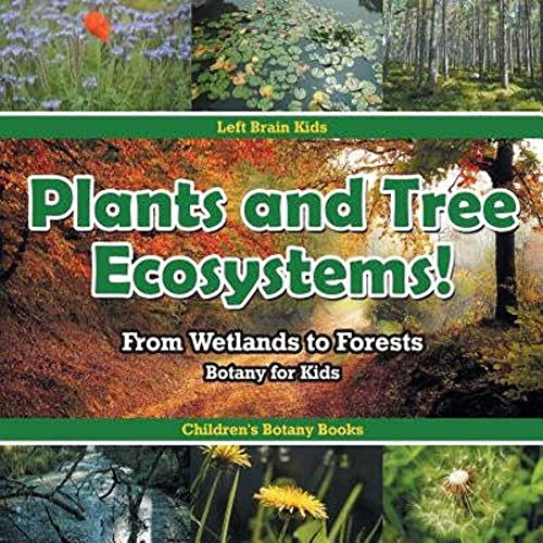 Plants and Tree Ecosystems! From Wetlands to Forests - Botany for Kids - Children's Botany Books
Plants and Tree Ecosystems! From Wetlands to Forests - Botany for Kids - Children's Botany Books
