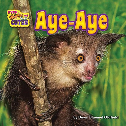 Aye-Aye (Even Weirder and Cuter)