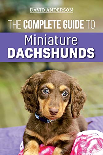 The Complete Guide to Miniature Dachshunds: A step-by-step guide to successfully raising your new Miniature Dachshund
The Complete Guide to Miniature Dachshunds: A step-by-step guide to successfully raising your new Miniature Dachshund