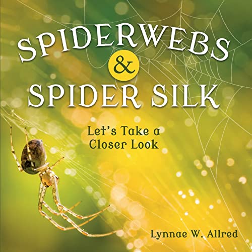 Spiderwebs and Spider Silk: Let’s Take a Closer Look
