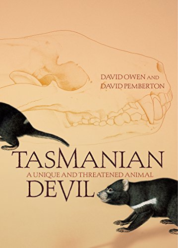 Tasmanian Devil. A Unique and Threatened Animal.