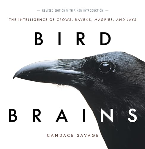 Bird Brains : The Intelligence of Crows, Ravens, Magpies, and Jays