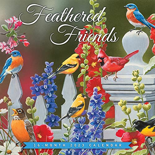 Feathered Friends | 2023 12 x 24 Inch Monthly Square Wall Calendar | Hopper Studios | Wildlife Animals
Feathered Friends | 2023 12 x 24 Inch Monthly Square Wall Calendar | Hopper Studios | Wildlife Animals