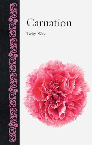 Carnation (Botanical)