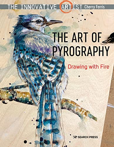 Innovative Artist Art of Pyrography : Drawing With Fire