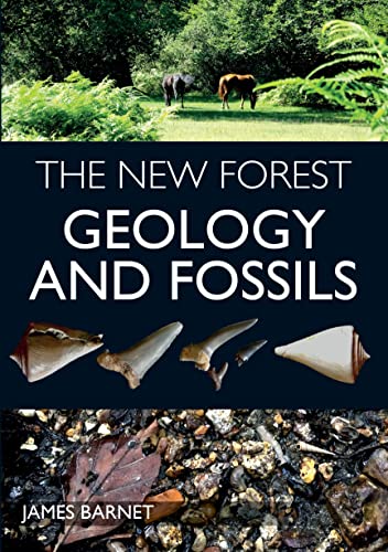 New Forest : Geology and Fossils