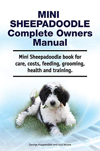 Mini Sheepadoodle Complete Owners Manual. Mini Sheepadoodle book for care, costs, feeding, grooming, health and training.
Mini Sheepadoodle Complete Owners Manual. Mini Sheepadoodle book for care, costs, feeding, grooming, health and training.