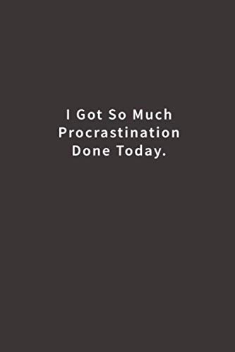 I got so much Procrastination Done Today.: Lined notebook