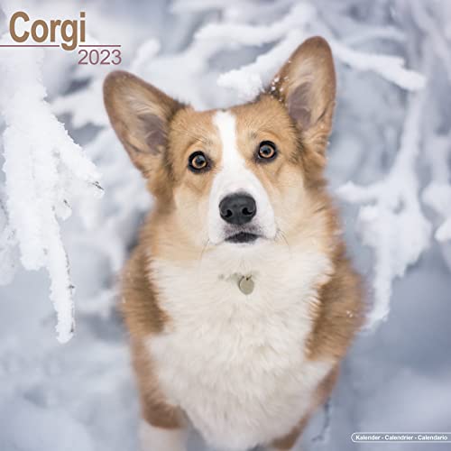 Corgi Calendar - Pembrook Welsh Corgi Calendar - Corgi Dog - Pembrook Corgi - Dog Breed Calendars - 2022 - 2023 wall calendars - Calendar by Avonside