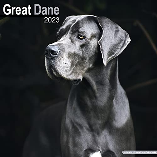 Great Dane Calendar - Dog Breed Calendars - 2022 - 2023 wall calendars - 16 Month by Avonside
Great Dane Calendar - Dog Breed Calendars - 2022 - 2023 wall calendars - 16 Month by Avonside