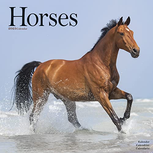 Horse Calendar - Calendars 2022 - 2023 Wall Calendars - Animal Calendar - Horses 16 Month Wall Calendar by Avonside
Horse Calendar - Calendars 2022 - 2023 Wall Calendars - Animal Calendar - Horses 16 Month Wall Calendar by Avonside