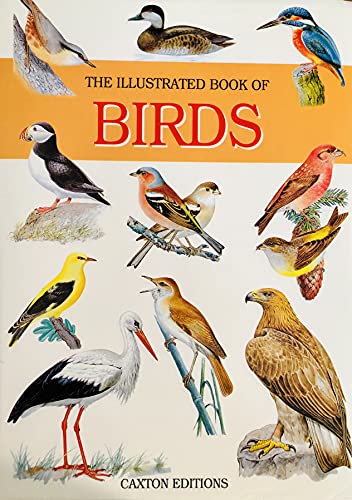 The Illustrated Book of Birds