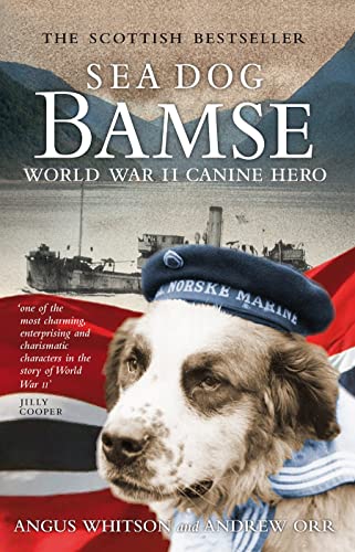 Sea Dog Bamse World War II Canine Hero