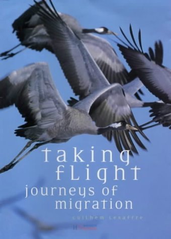 Taking Flights: Journeys of Migration