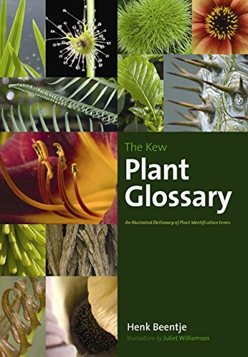 The Kew Plant Glossary: An Illustrated Dictionary of Plant Terms