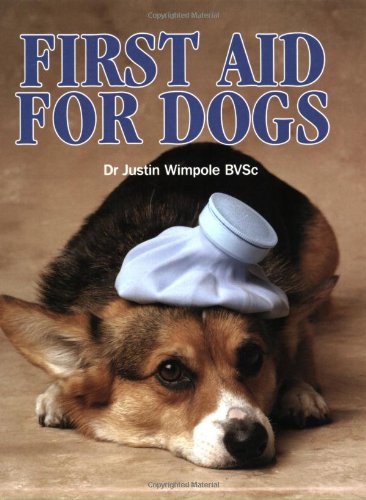 First Aid for Dogs: What to Do Before You Take Your Sick Dog to the Vet