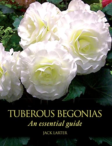Tuberous Begonias : An Essential Guide