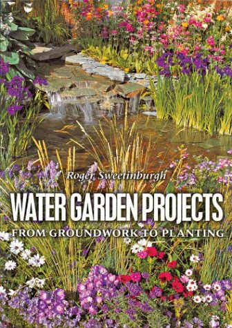 Water Garden Projects: From Groundwork to Planting