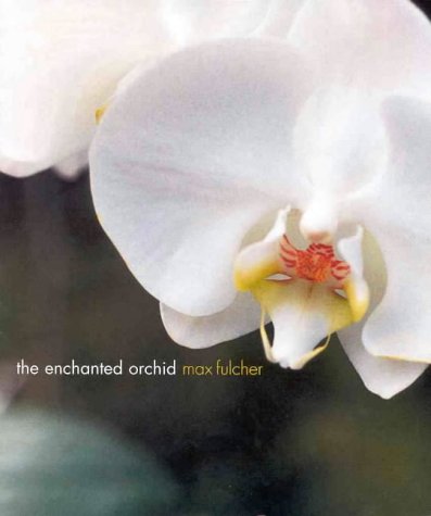 The Enchanted Orchid