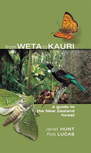 From Weta to Kauri (Paperback)