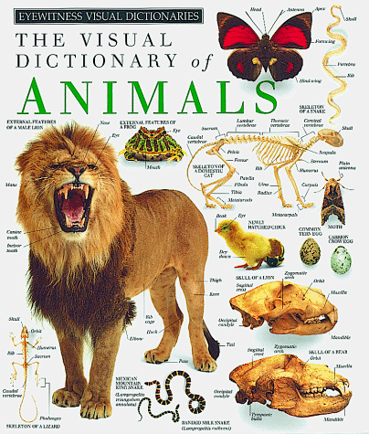 THE VISUAL DICTIONARY OF ANIMALS (A Dorling Kindersley Eye Witness Visual Dictionary)