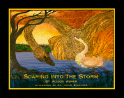Soaring Into the Storm: A Book About Those Who Triumph over Adversity
