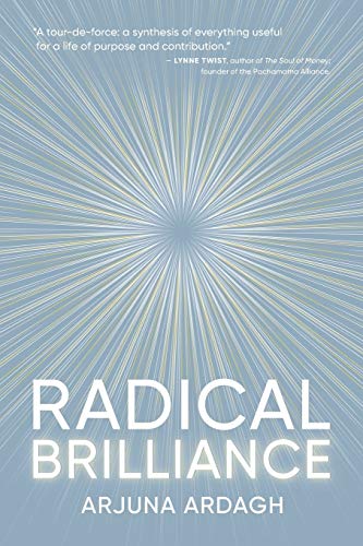 Radical Brilliance: The Anatomy of How and Why People Have Original Life-Changing Ideas
Radical Brilliance: The Anatomy of How and Why People Have Original Life-Changing Ideas