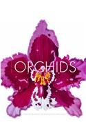 Orchids from the Archives of Royal Horticultural Society.
