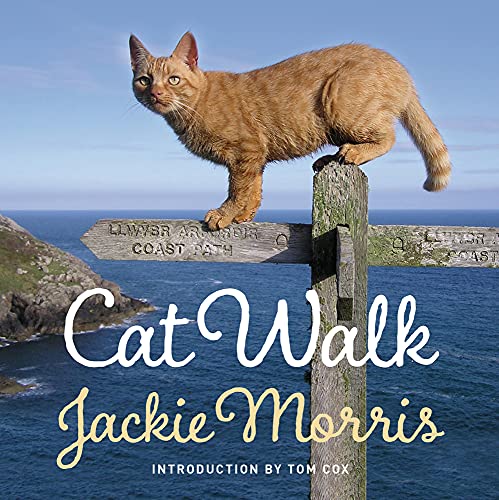 Cat Walk (FINE COPY OF SCARCE HARDBACK FIRST EDITION, FIRST PRINTING SIGNED BY AUTHOR, JACKIE MOR...