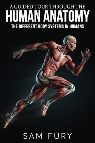 A Guided Tour Through the Human Anatomy: The Different Body Systems In Humans
A Guided Tour Through the Human Anatomy: The Different Body Systems In Humans