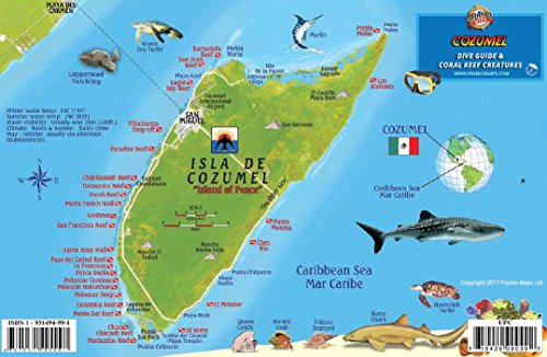 Cozumel Dive Map & Reef Creatures Guide Franko Maps Laminated Fish Card