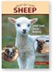 Sheep: Small-Scale Sheep Keeping For Pleasure And Profit (Hobby Farms)
Sheep: Small-Scale Sheep Keeping For Pleasure And Profit (Hobby Farms)