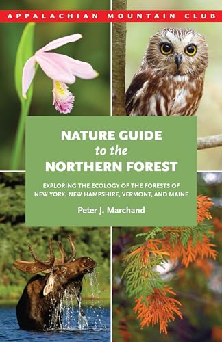Nature Guide to the Northern Forest: Exploring the Ecology of the Forests of New York, New Hampsh...