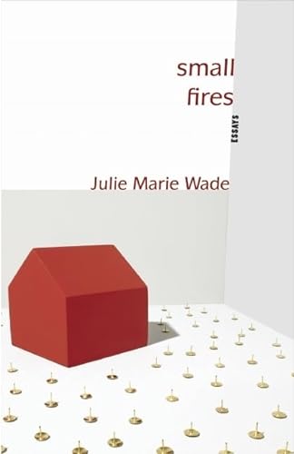 Small Fires: Essays (Linda Bruckheimer Series in Kentucky Literature)