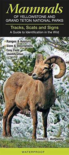 Mammals of Yellowstone & Grand Teton National Park ( formally known as Tracks, Scats and tracks of Yellowstone
Mammals of Yellowstone & Grand Teton National Park ( formally known as Tracks, Scats and tracks of Yellowstone