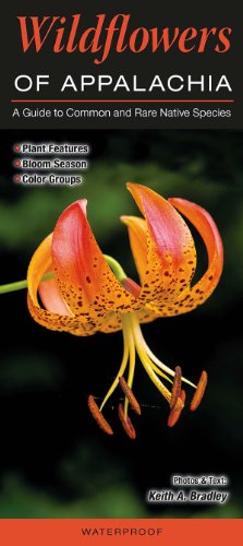 Wildflowers of Appalachia : A Guide to Common and Rare Native Species